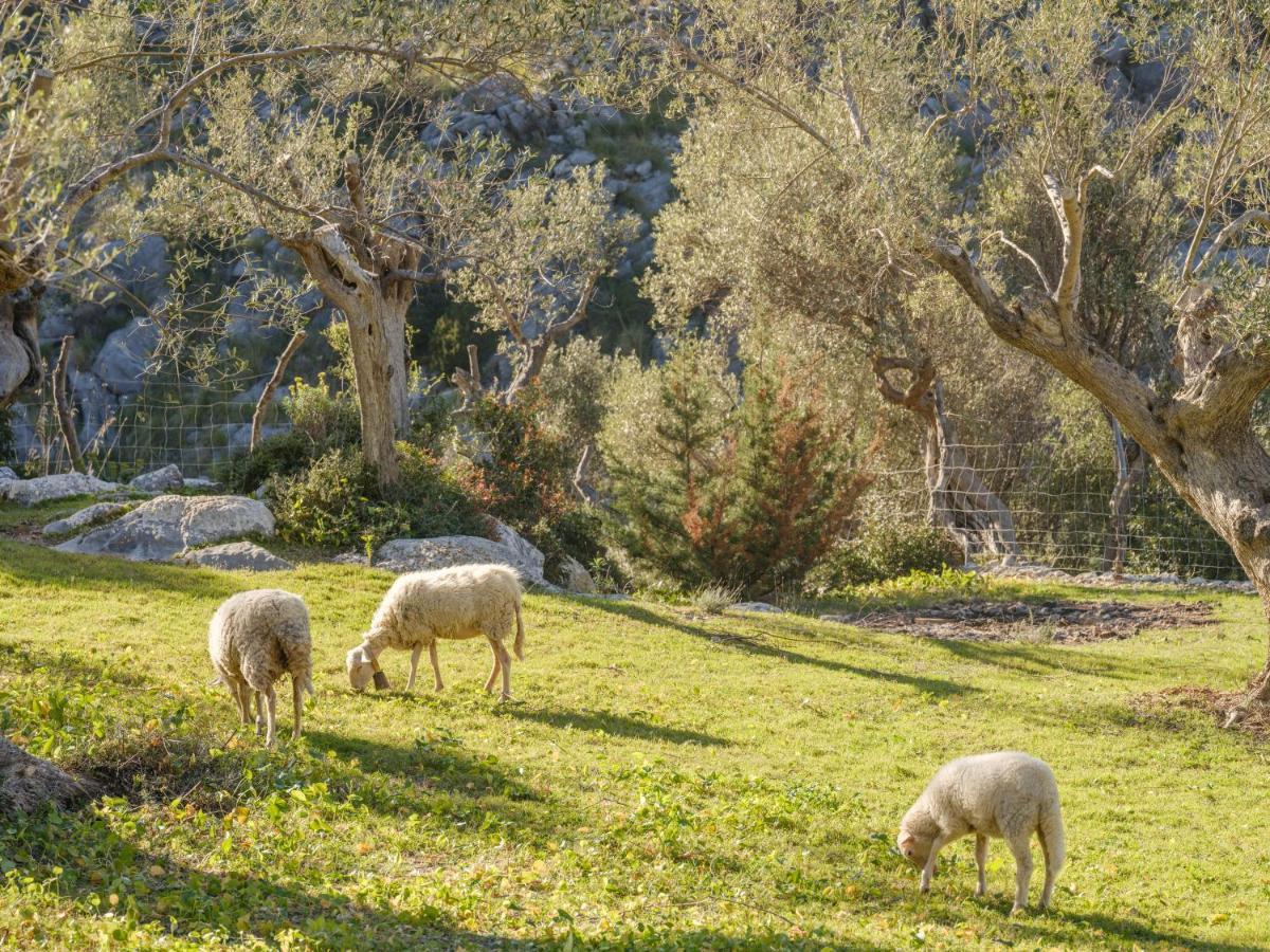 Agroturismo Muleta De Ca S'Hereu Puerto de Sóller Extérieur photo