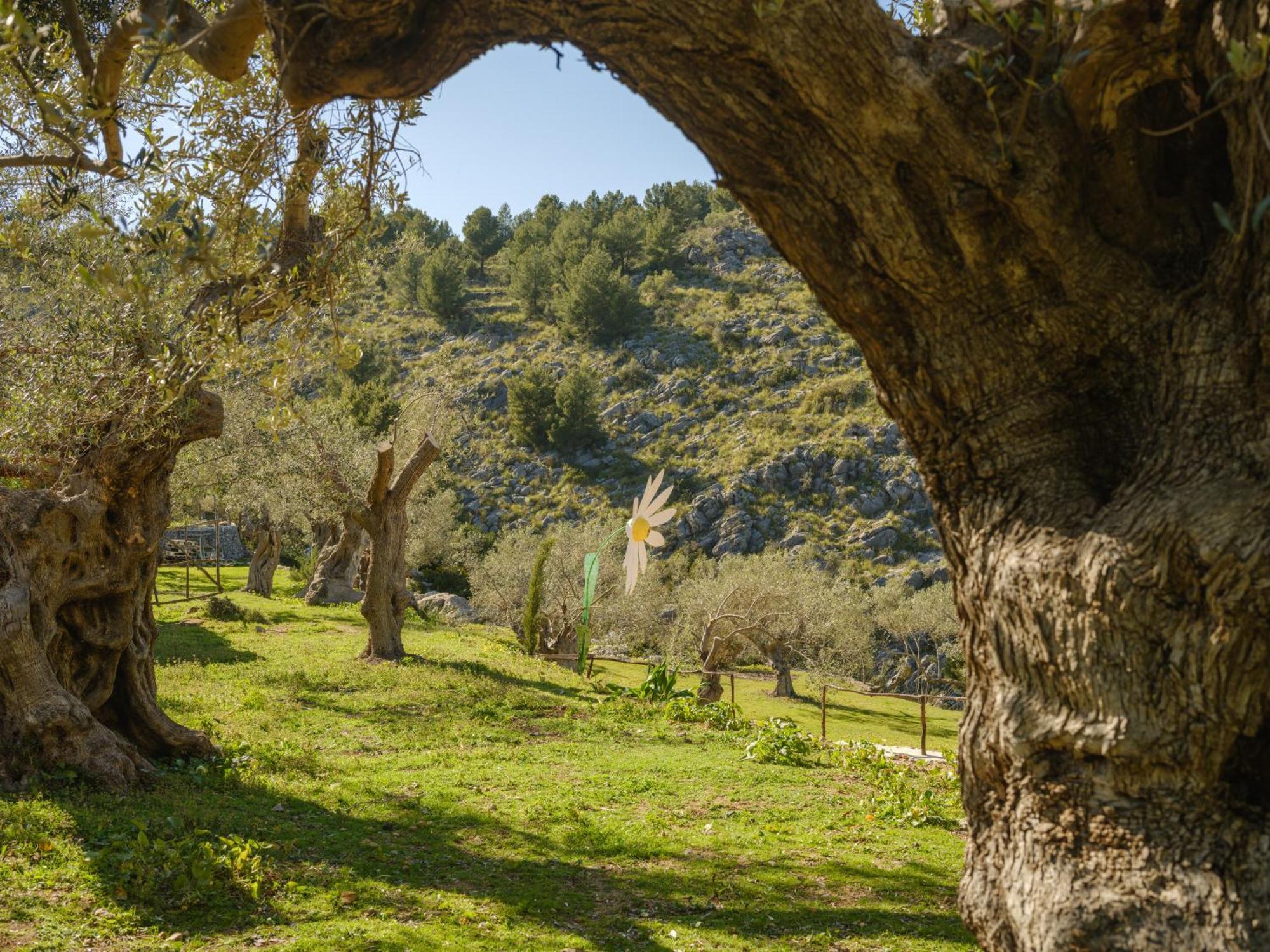 Agroturismo Muleta De Ca S'Hereu Puerto de Sóller Extérieur photo